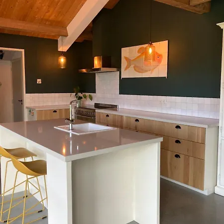 Private House With Vineyard View Sint Michielsgestel