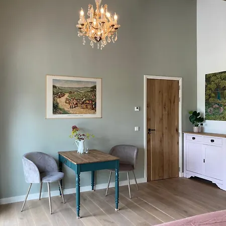 Private House With Vineyard View Apartment Sint Michielsgestel