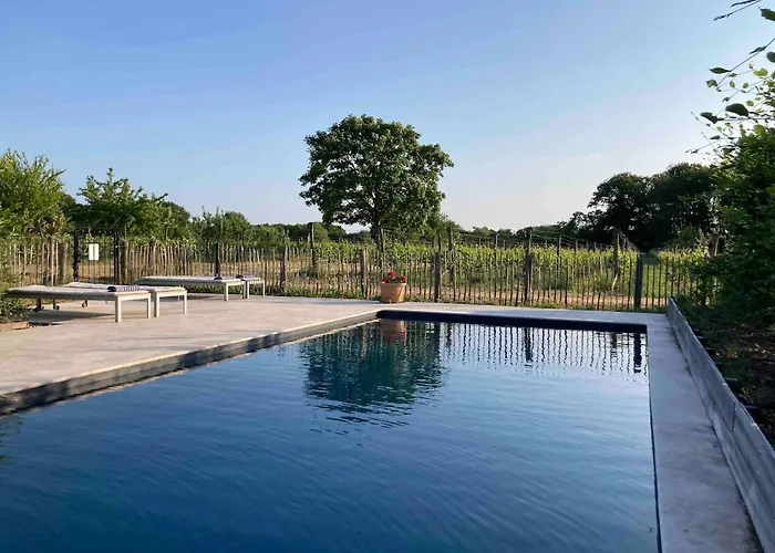 Private House With Vineyard View * Sint Michielsgestel