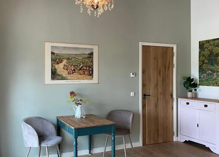 Private House With Vineyard View Apartment Sint Michielsgestel